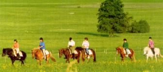 Reiten